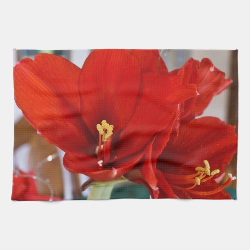 Red Amaryllis kitchentowel