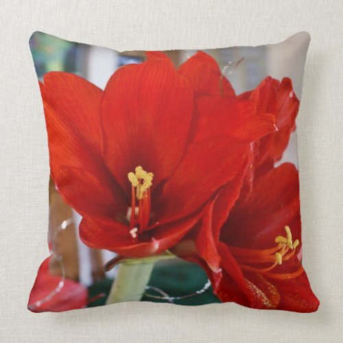 Red Amaryllis throwpillow