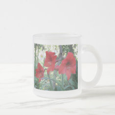 Red Amaryllis mug