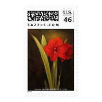 Red Amaryllis Postage Stamps