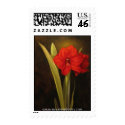 Red Amaryllis postage by mshotts Red Amaryllis postage