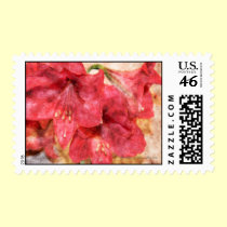 Red Amaryllis Postage stamps