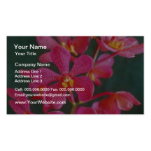 Red An orchid hybrid flowers Business Card Templates