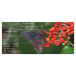 Red and Black Butterfly Wedding Program Full Color Rack Card