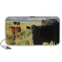 Red and Black Cow Calf Herd - Calves Mp3 Speakers
