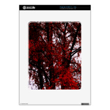RED AND BLACK iPad DECALS