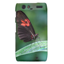 Red And Black On Leaf Motorola Droid RAZR Cases