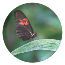 Red And Black On Leaf Party Plate