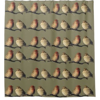 Red and Brown House Finch Birds Shower Curtain