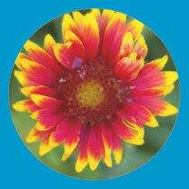 red and gold flower stickers