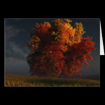 Red and Gold Greeting Card cards