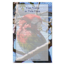 Red and Gold Macaw Stationery