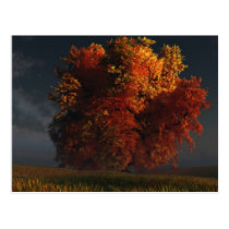 autumn, tree, prairie, clouds, landscape, desktop wallpaper, Postkort med brugerdefineret grafisk design
