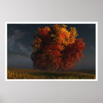 Red and Gold Poster