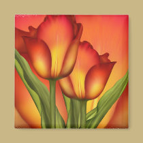 Red and Gold Tulips magnets