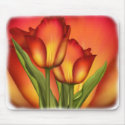 Red and Gold Tulips mousepads