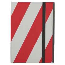 Red and Gray Candy Cane Stripes Pattern Gifts iPad Folio Case