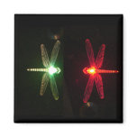 Red and Green glowing dragonflies magnets