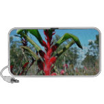 Red and green kangaroo paw flower laptop speaker