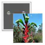 Red and green kangaroo paw flower pins