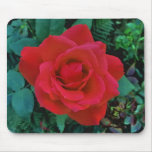 Red and Green Mouse Mats