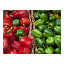 Red and green peppers postcards