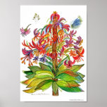 Red and Green Plant No. 51 Still Life drawing-AB posters