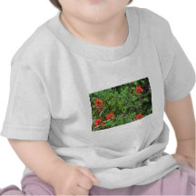 Red And Green Tee Shirts