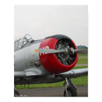Red and Grey Texan posters