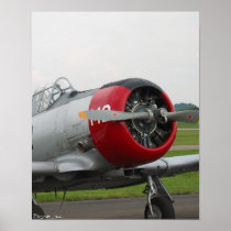 Red and Grey Texan Print