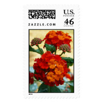 Red and Oange Lantana postage by princessklb07 Red and Oange Lantana postage