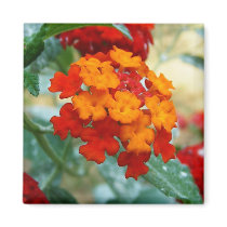 Red and Orange Lantana magnets by princessklb07 Red and Orange Lantana magnets