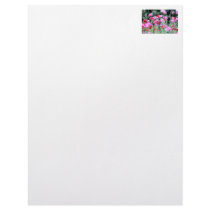 Red and Pink Poppies Letterhead Design