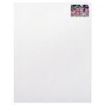 Red and Pink Poppies Letterhead Design