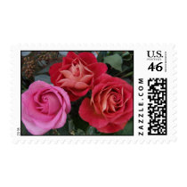 Red and Pink Roses Postage postage