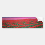 Red And Pink Tulip Field flowers Bumper Sticker