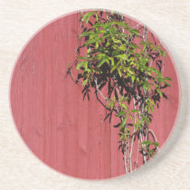 Red And Pink Wedding With Climbing Ivy Drinks Drink Coasters