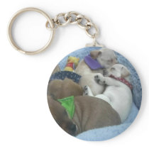 Red and Purple Keychain