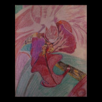 Red and Purple Orchid posters