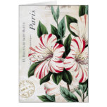 Red and White Amaryllis vintage holiday notecard cards