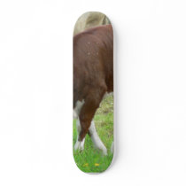 Red And White Calf On Grass skateboards