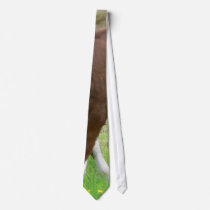 Red And White Calf On Grass ties