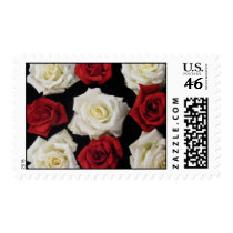 Red and White English Box Rose Arrangement Postage