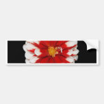 Red and White Flower Bumper Sticker
