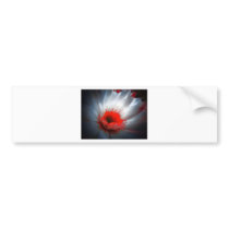 Red and White Flower Bumper Stickers