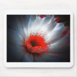 Red and White Flower Mousepad