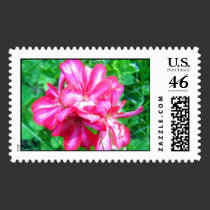 Red and White flowers stamps