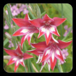 Red and White Flowers Sticker