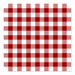 Red and White Gingham Pattern
