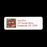 Red and White Gladiolas Return Address Label